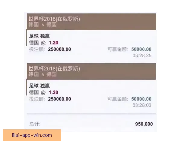 世界杯竞猜网站推荐与投注技巧分析助你精准预测赛事结果